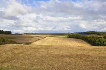 harvest vista