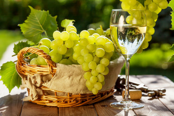 Plakaty  Białe wino i winogrona