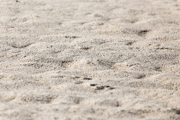 background of sand on the shore