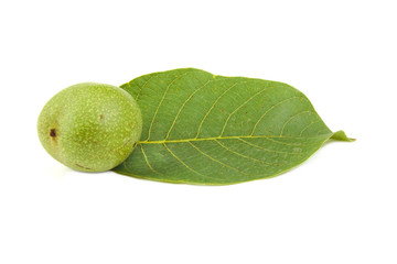 Green walnut and leaves isolated on a white background
