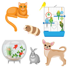 Animal companions set
