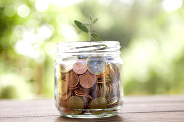 pot with coins saving concept