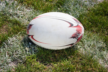 Rugby ball lying on the green grass