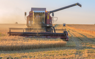Fototapeta premium Farmer in tractor