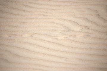 sand in nature as background