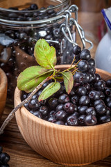 Black chokeberry.
