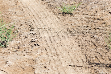 dirt road in nature