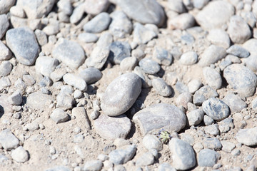 rocks in nature as a background