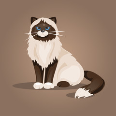 Sitting cat. Vector Illustration