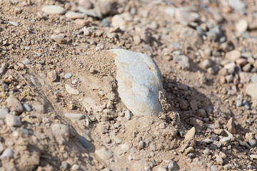 Stones on the ground