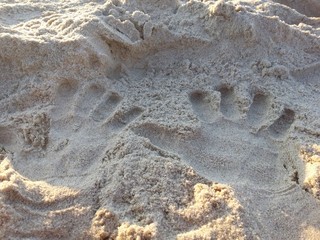 Dłonie na piasku