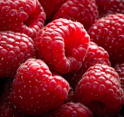 Raspberry fruit background