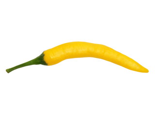 yellow hot chili peppers isolated on white background