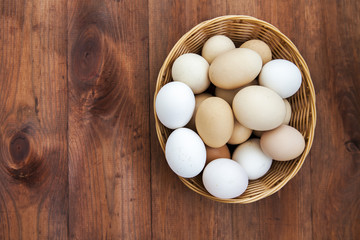 Farm natural organic eggs