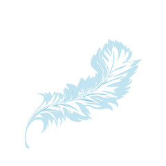 decorative Feather