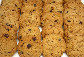 Catering; Chocolate cookies
