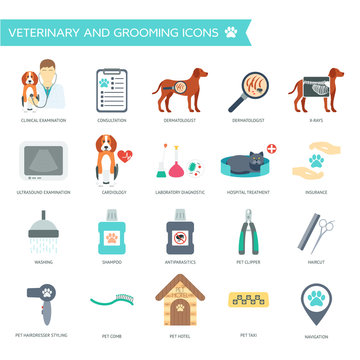 Set of veterinary and grooming icons with names. Flat design. Vector