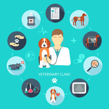 Veterinary flat icon set. Veterinary banner, background, poster, concept. Vet clinic. Flat design. Vector