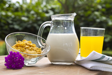 jug of milk, cereal and orange juice