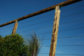 Fototapeta premium stahlseil spalier I