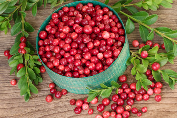 lingonberries in green basket over wood, top view