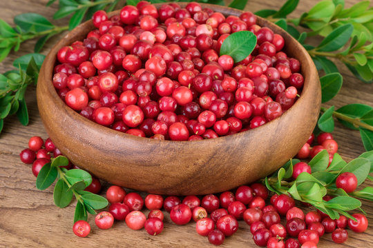 Cowberry Lingonberry in wooden bowl, closeup