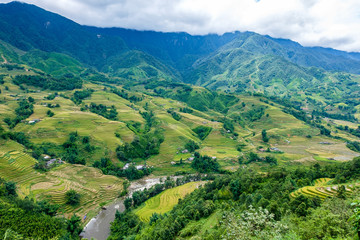 Obraz premium Rice fields on terraced in rainny season at SAPA, Lao Cai, Vietn