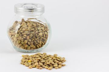 Lentil/lens food