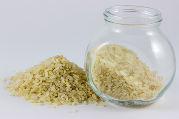 Rice