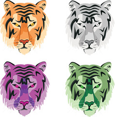 Hunting trophy - the tiger. Colored head.