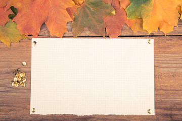 Autumn frame with maple leaves gold pin and paper.Vintage toning