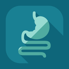 Obraz premium Flat modern design with shadow icons stomach