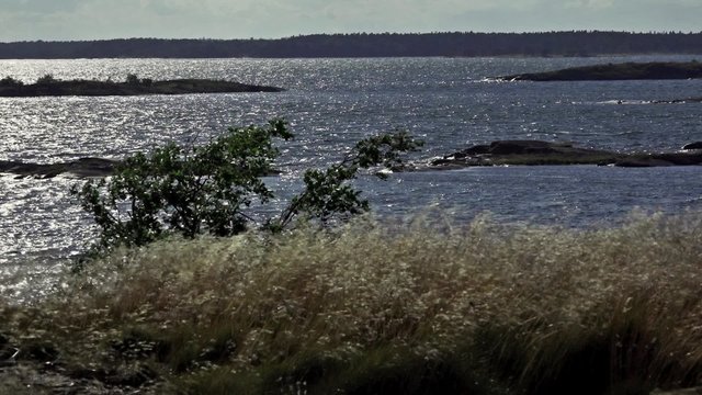 Windy day in the archipelago.
Archipelago outside Stockholm, Sweden.