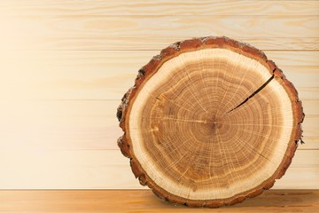 Tree Rings. © BillionPhotos.com