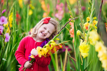 Obraz na płótnie Canvas Child picking fresh gladiolus flowers