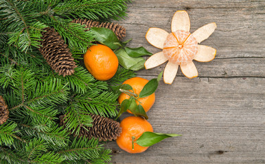 Fototapeta na wymiar Tangerine fruits and christmas tree branches. Mandarine