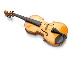 violin on white background