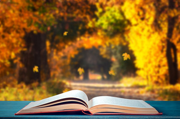 Obraz premium Book in the autumn park