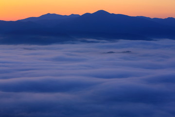 遠野盆地の雲海
