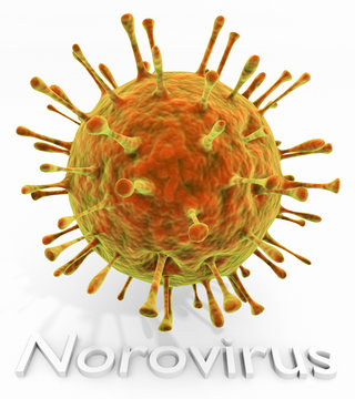 Norovirus With Text: An illustration of the Norovirus with text.