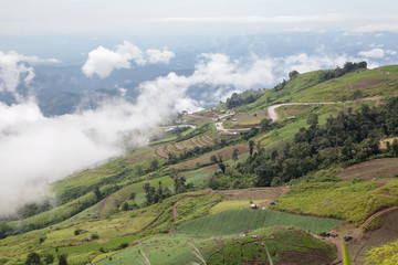 Obraz premium Mountains at Phu Tub Berk, Phetchabun, Thailand. 