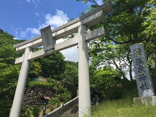 Torii Shrine Gate