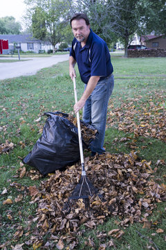 Worker Raking Leaves Into A Large Pile