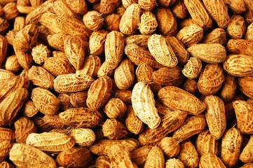 Fototapeta premium Peanut in its shell background photo