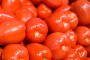 Fresh Roma Tomatos