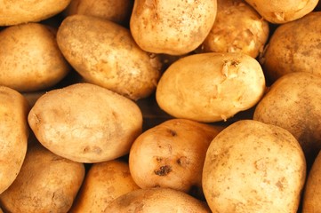 Potato background photo
