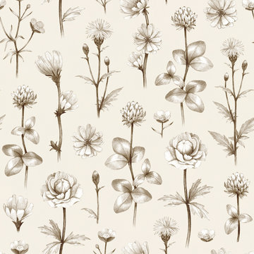 Wild flowers illustration. Seamless pattern