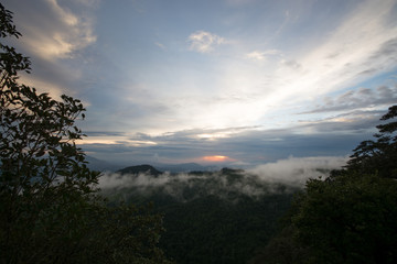 sunset with fogs, clouds and trees