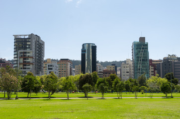 Obraz premium Inside La Carolina park in Quito, Ecuador. Beautiful green outdoors with some tall office buildings marking the city presence