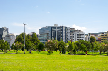 Inside La Carolina park in Quito, Ecuador. Beautiful green outdoors with some tall office buildings...
